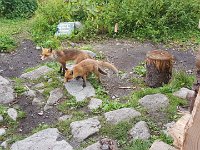 tatry-2019 (21)
